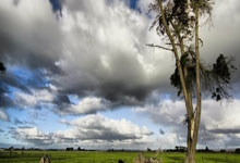 [NBA]普理查德43分 凯尔特人主场战胜开拓者.