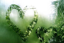 [图]勒沃库森2-1奥格斯堡 联赛夺冠+34场不败收官.