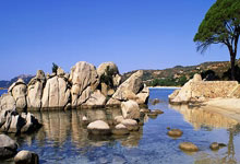 [图]迈阿密大师赛-阿尔卡拉斯1-2遭戈芬逆转止步第二轮.